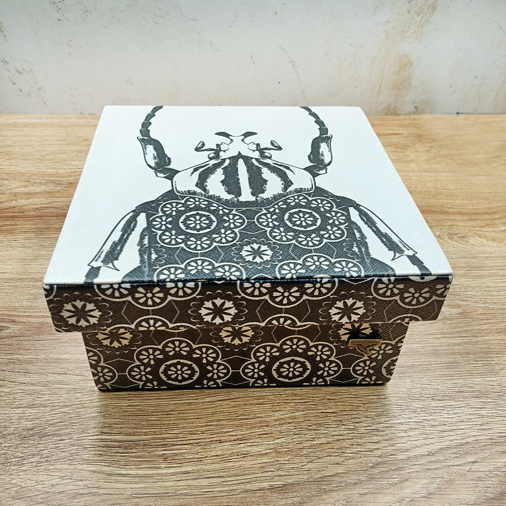 Square beetle box with 4 divisions