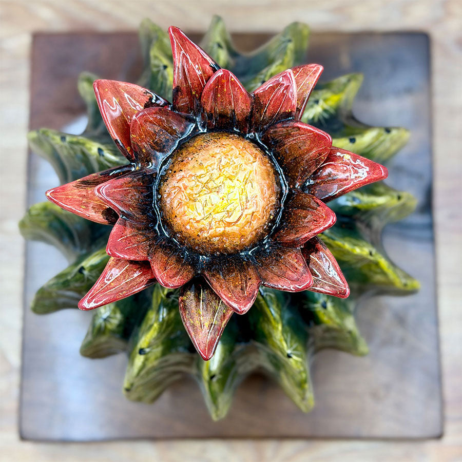 Green barrel cactus