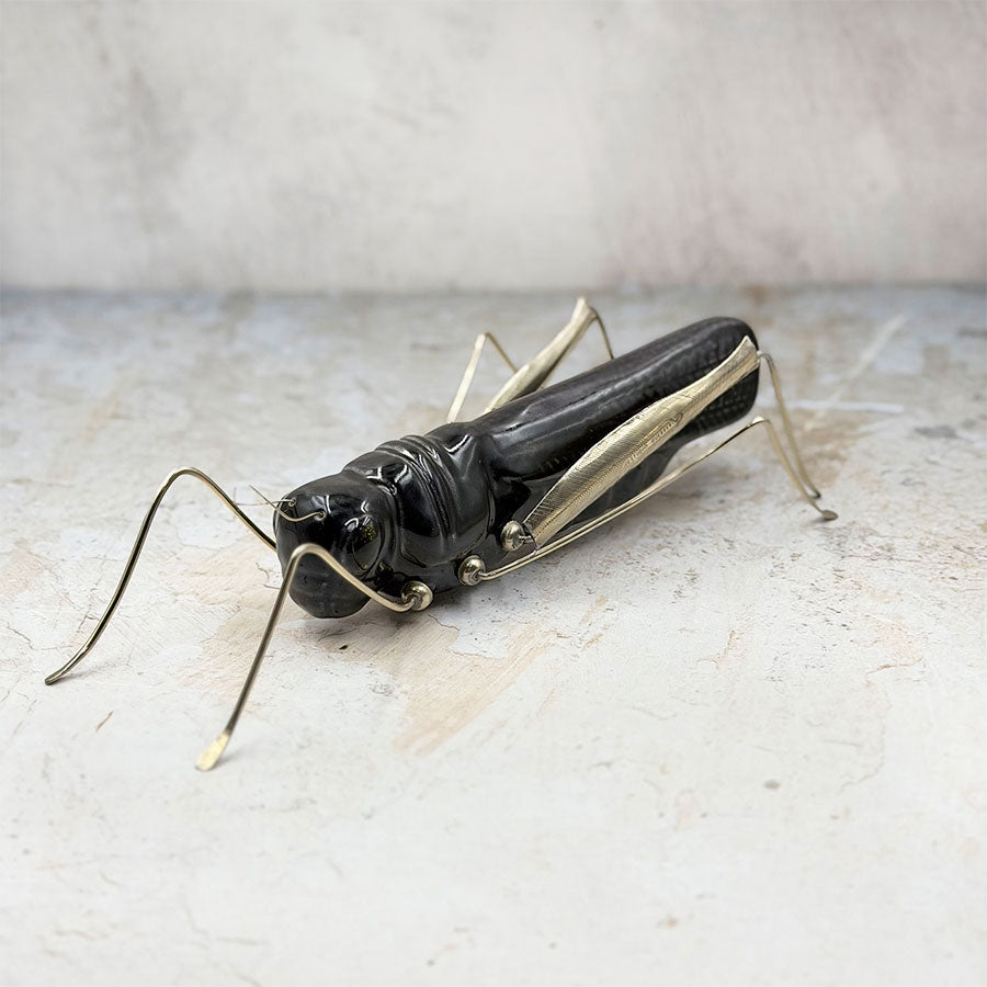 Chapulín negro