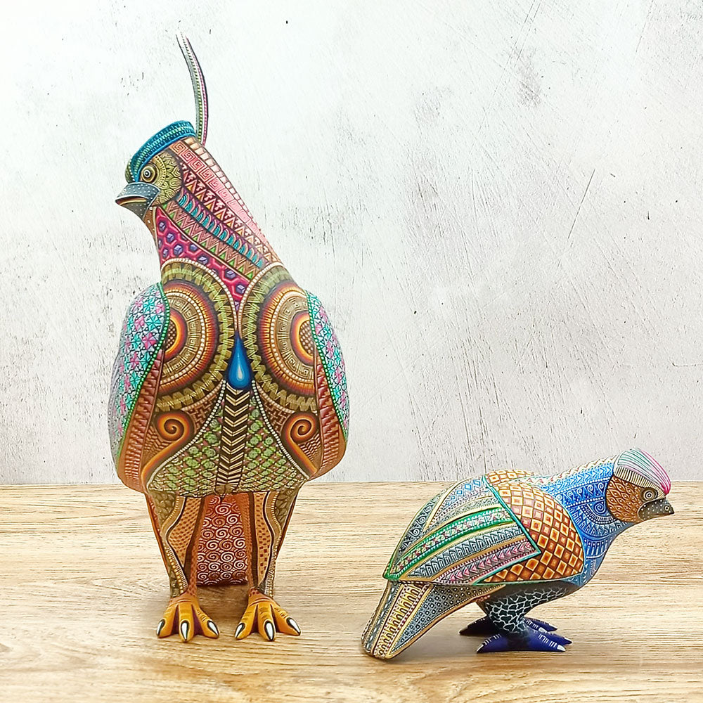 Codorniz alebrije con cría