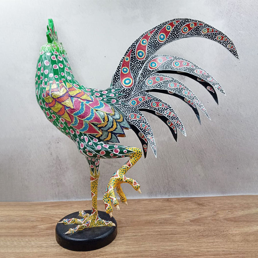 Gallo cresta verde grande