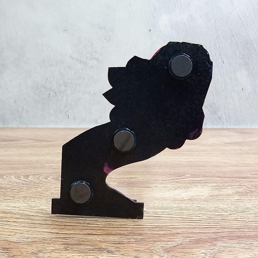 Imanes decorativos recuerdo de Monterrey