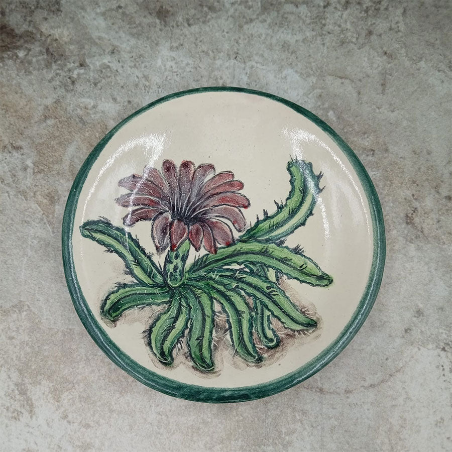 Plate decorated with a green rim
