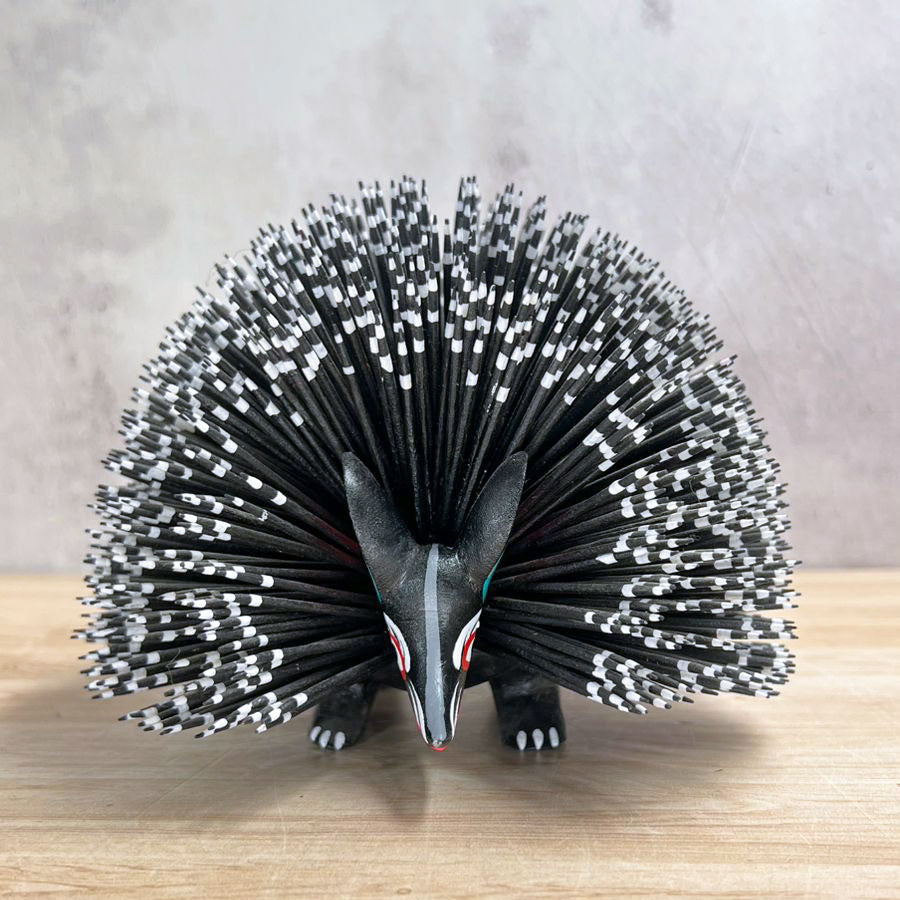 Erizo alebrije negro