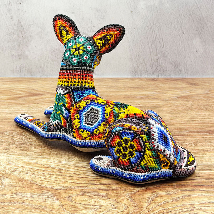 Xoloitzcuintle dog with Huichol design
