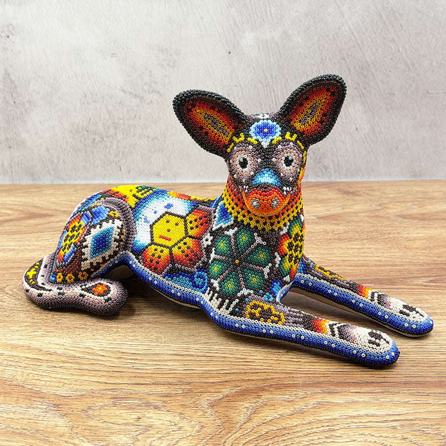 Xoloitzcuintle dog with Huichol design